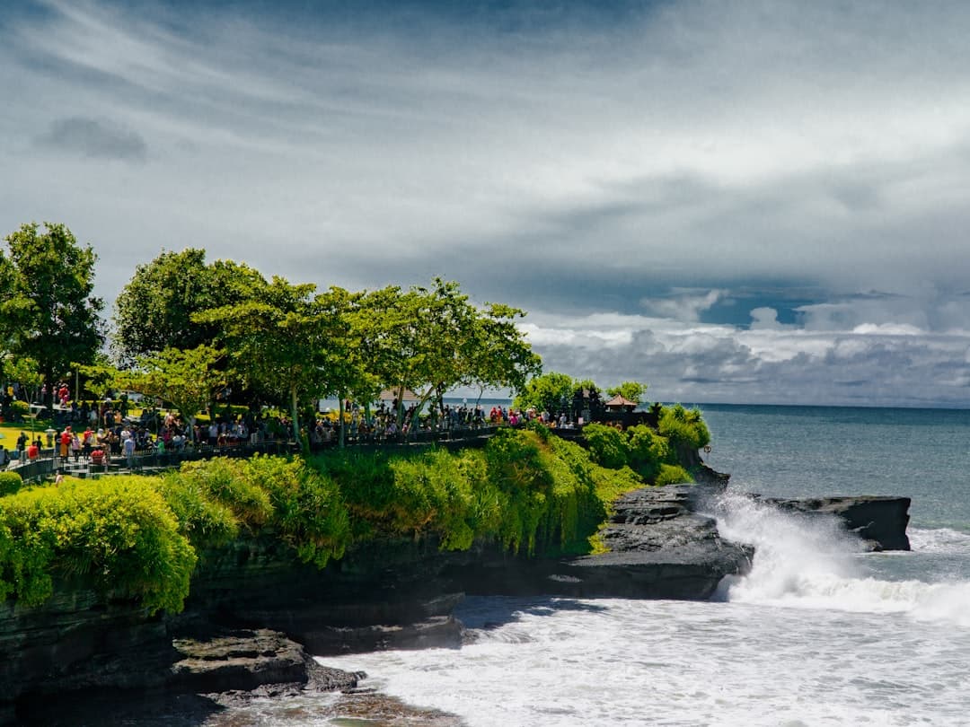 a group of people standing on top of a cliff next to the ocean - Photo by Eja Knalin on Unsplash