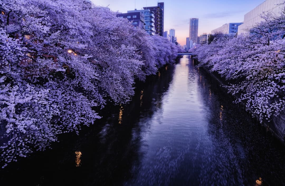 a river running through a city with tall buildings - Photo by Takashi Miyazaki on Unsplash