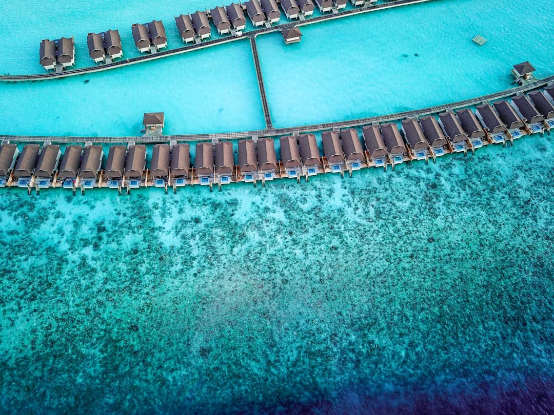 beach houses on beach - Photo by Rayyu Maldives on Unsplash