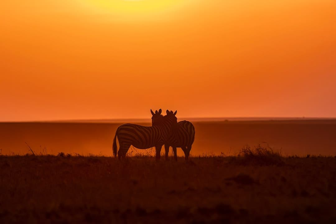 East Africa travel - Photo by Vinit Modak on Unsplash