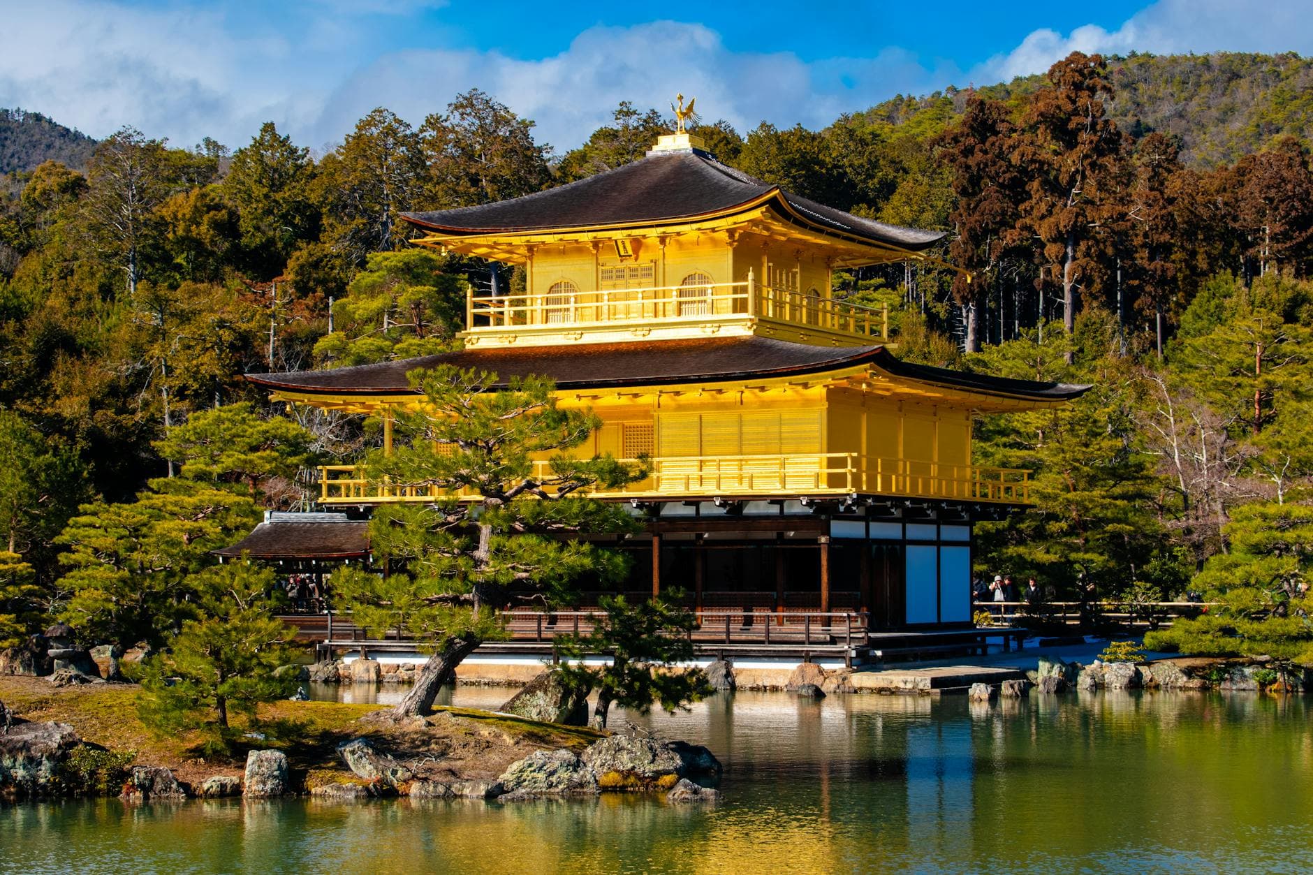Golden Pavilion & Bamboo Groves