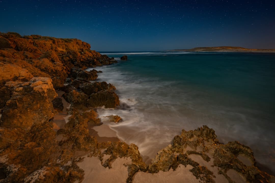 Witness magnificent sea turtles nesting under starlit Caribbean skies