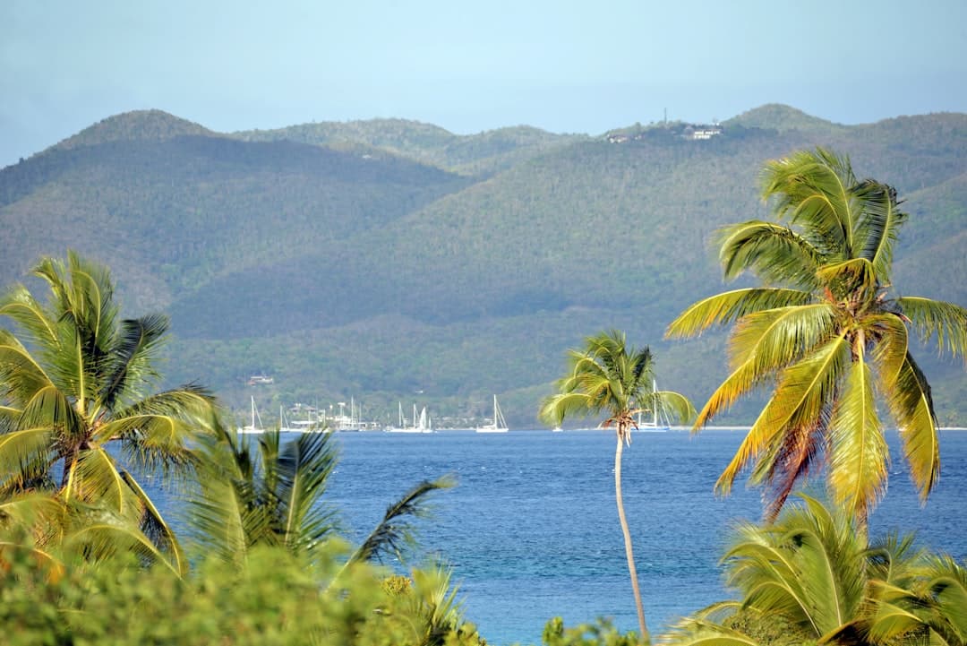 A tropical coastal scene with palm trees in the foreground, a blue bay with sailboats anchored offshore, and forested mountains in the background. - Photo by Karl Callwood on Unsplash