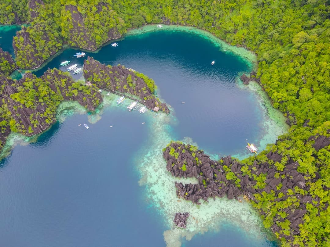 South Pacific travel - Photo by Florian Delée on Unsplash