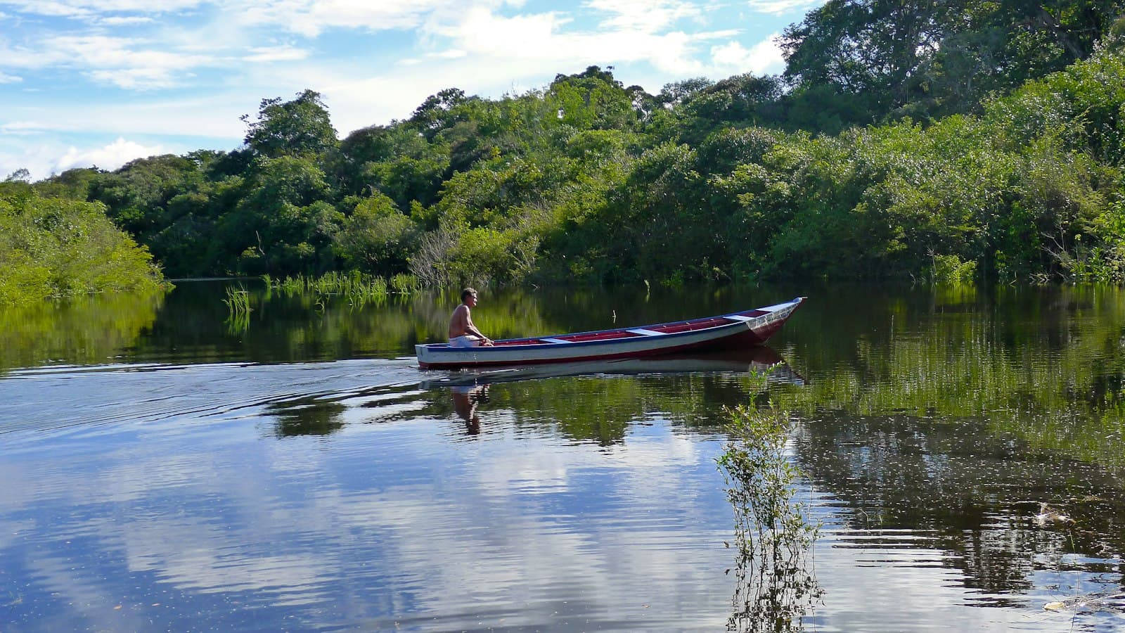 A single boatman sits in a narrow wooden dugout-style canoe with red and blue trim on a calm, mirror-like river channel lined with dense green tropical forest. - Photo by gustavo nacht on Unsplash