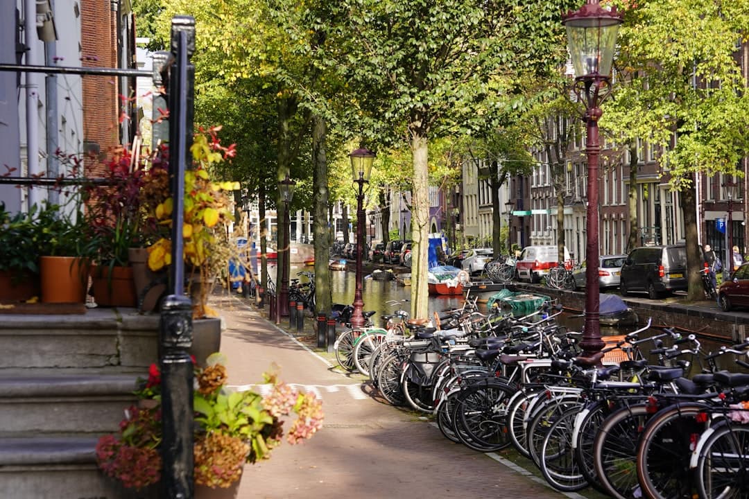 Amsterdam travel - Photo by Filip Mishevski on Unsplash