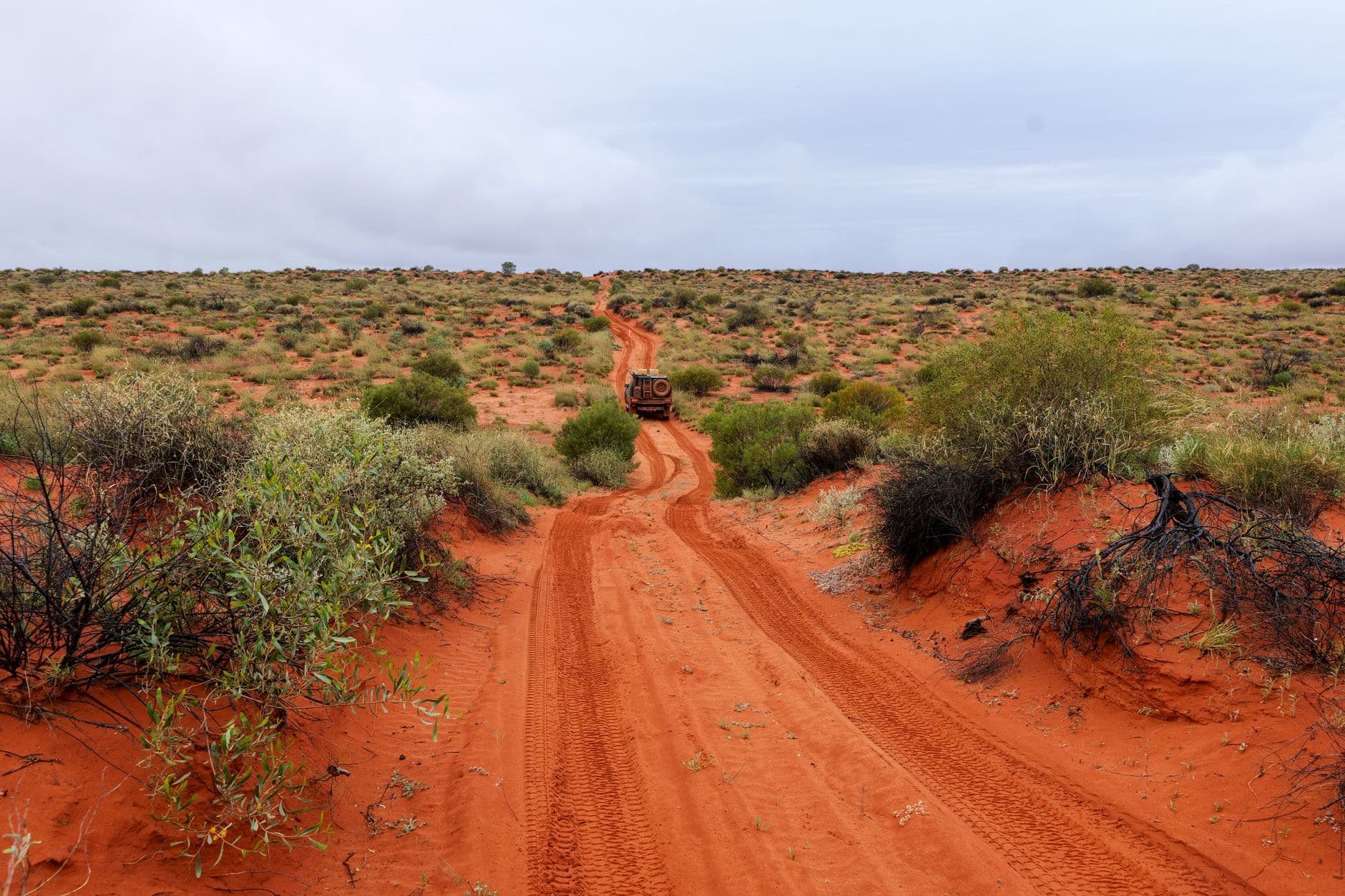 A red dirt track stretches into arid bushland with a 4WD vehicle visible in the distance, surrounded by sparse vegetation and the distinctive rust-colored earth of the Australian Kimberley region. - Photo by Mark Direen on Pexels