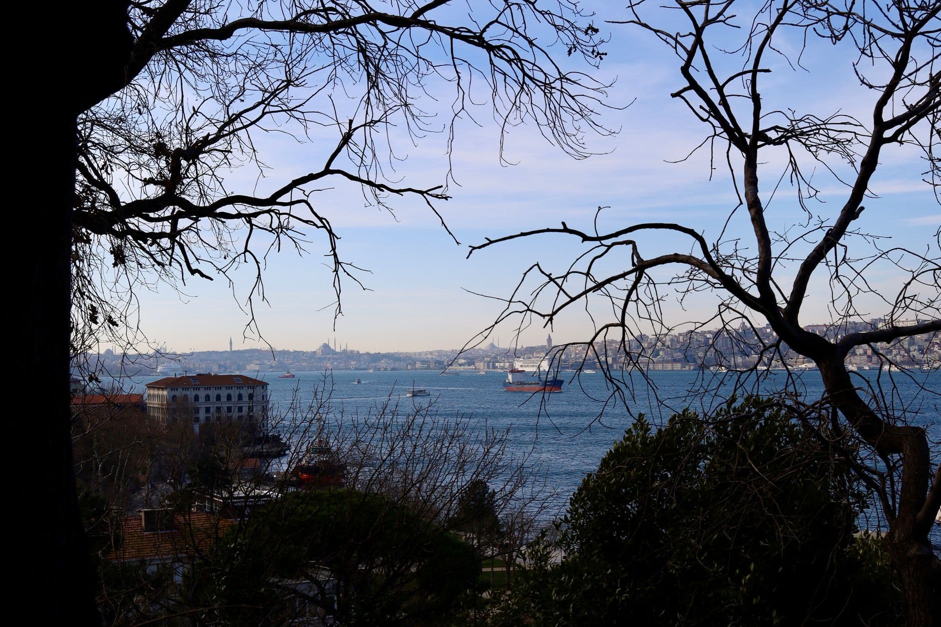 A view across the Golden Horn in Istanbul framed by bare winter tree branches, showing Ottoman-era waterfront architecture in the foreground and the Asian side of the city with visible minarets across the water. - Photo by Julia Çarı on Pexels