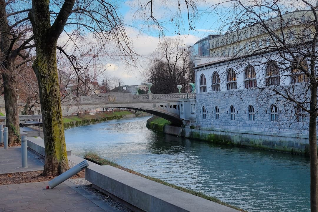 A peaceful riverside scene along Ljubljana's Ljubljanica River showing classical European architecture with distinctive arched windows, bare deciduous trees, and period bridges reflecting in calm water. - Photo by Fajar Al Hadi on Unsplash