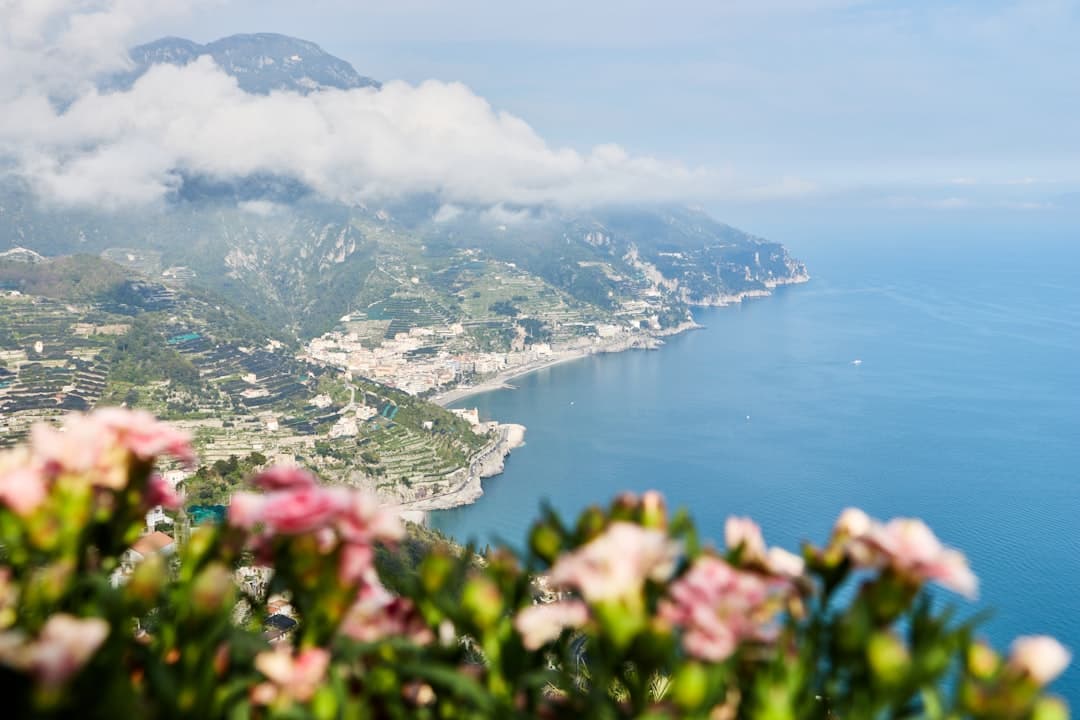 An aerial view of the Amalfi Coast showing dramatic limestone cliffs, terraced agricultural slopes, a coastal town built into the hillside, Mediterranean blue waters, and pink flowering plants in sharp focus in the foreground. - Photo by Matteo Eria on Unsplash