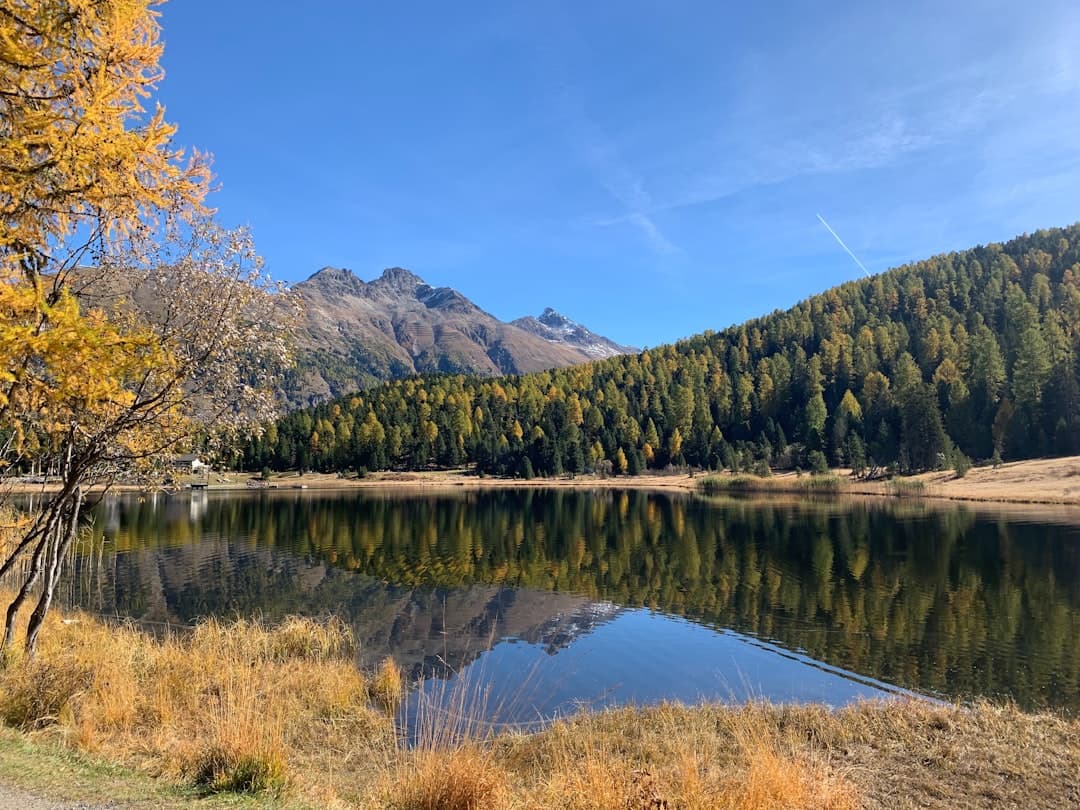 An alpine lake surrounded by coniferous forest with golden larch trees in autumn, rocky mountains in the background, and clear blue sky reflecting the classic off-season beauty of the Swiss Alps. - Photo by Carmen Bucher on Unsplash